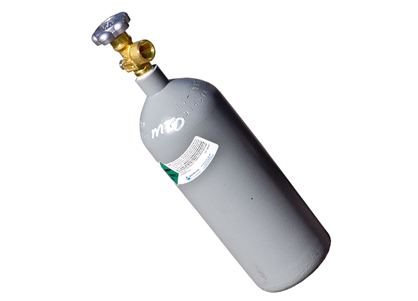 gases Cover Image