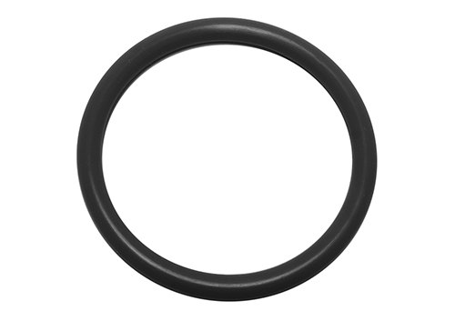 O-Ring - Kalrez Cover Image