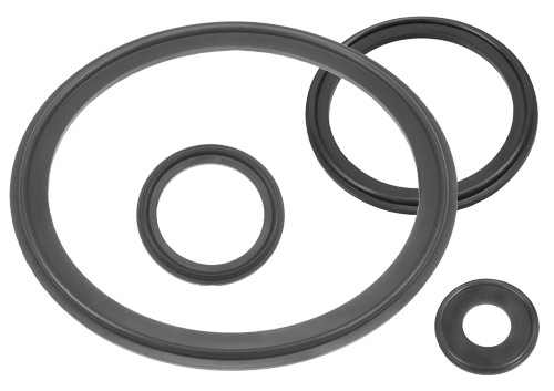 Sanitary Viton Gaskets Cover Image