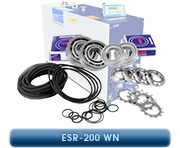 Ideal-Vacuum-Kits-And-Parts Ebara ESR200WN
