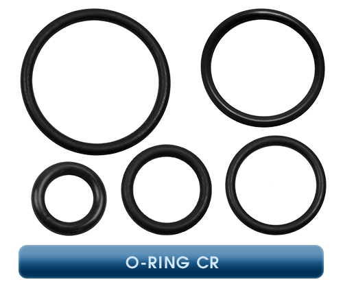 Inficon, ISO-F Flange Components, O-Ring