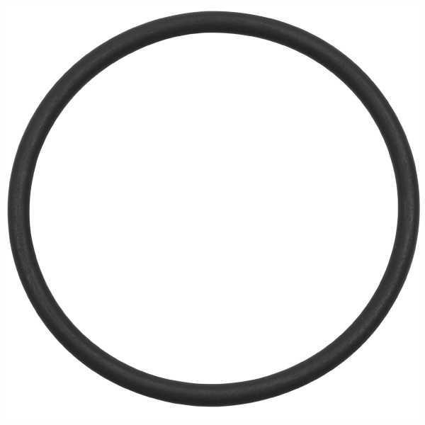 Kalrez Rubber O Ring for Industrial & Pharmaceutical at Rs 5/piece in Thane