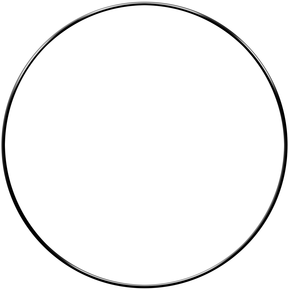 Butyl sales o ring